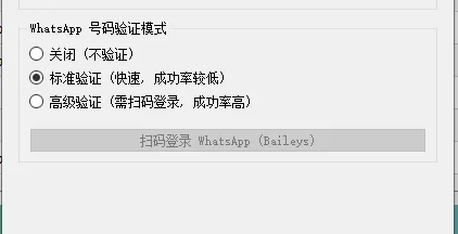 WhatsApp验证模式界面
